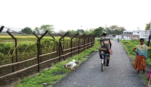 ভারত-বাংলাদেশ সীমান্তে ৬৪৪ বোতল ফেনসিডিল জব্দ